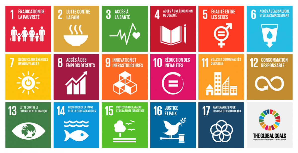 Objectifs de développement durable 