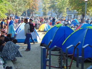 Crise réfugiés Europe_Ms Maja Simic